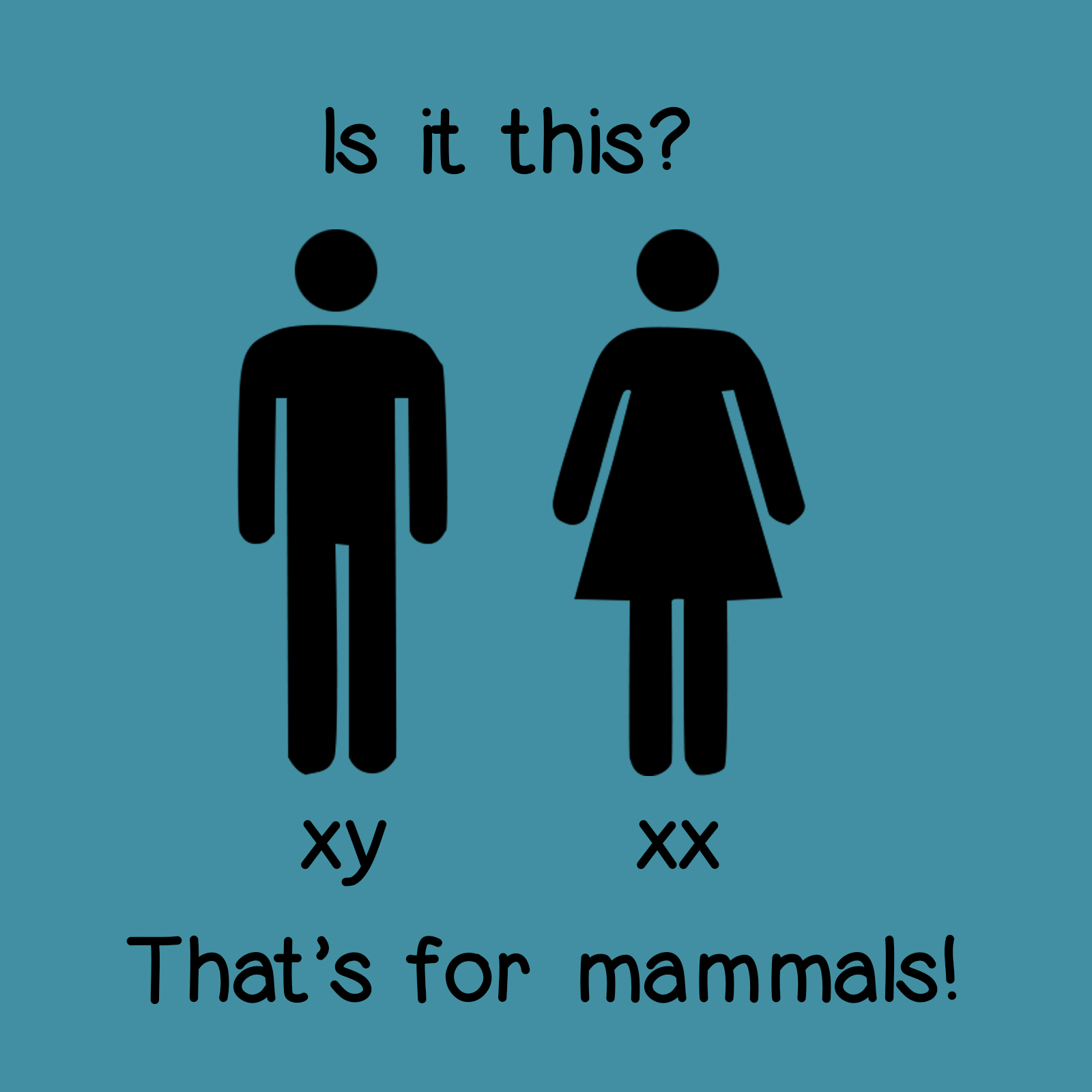 Is it this (Male = xy, Female = xx)? That's for mammals!