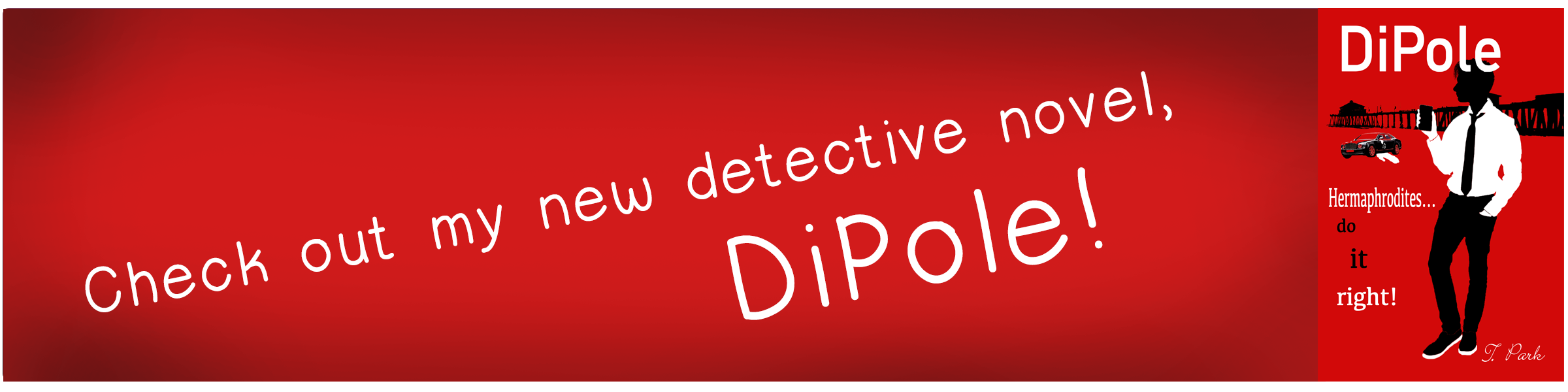 DiPole Banner
