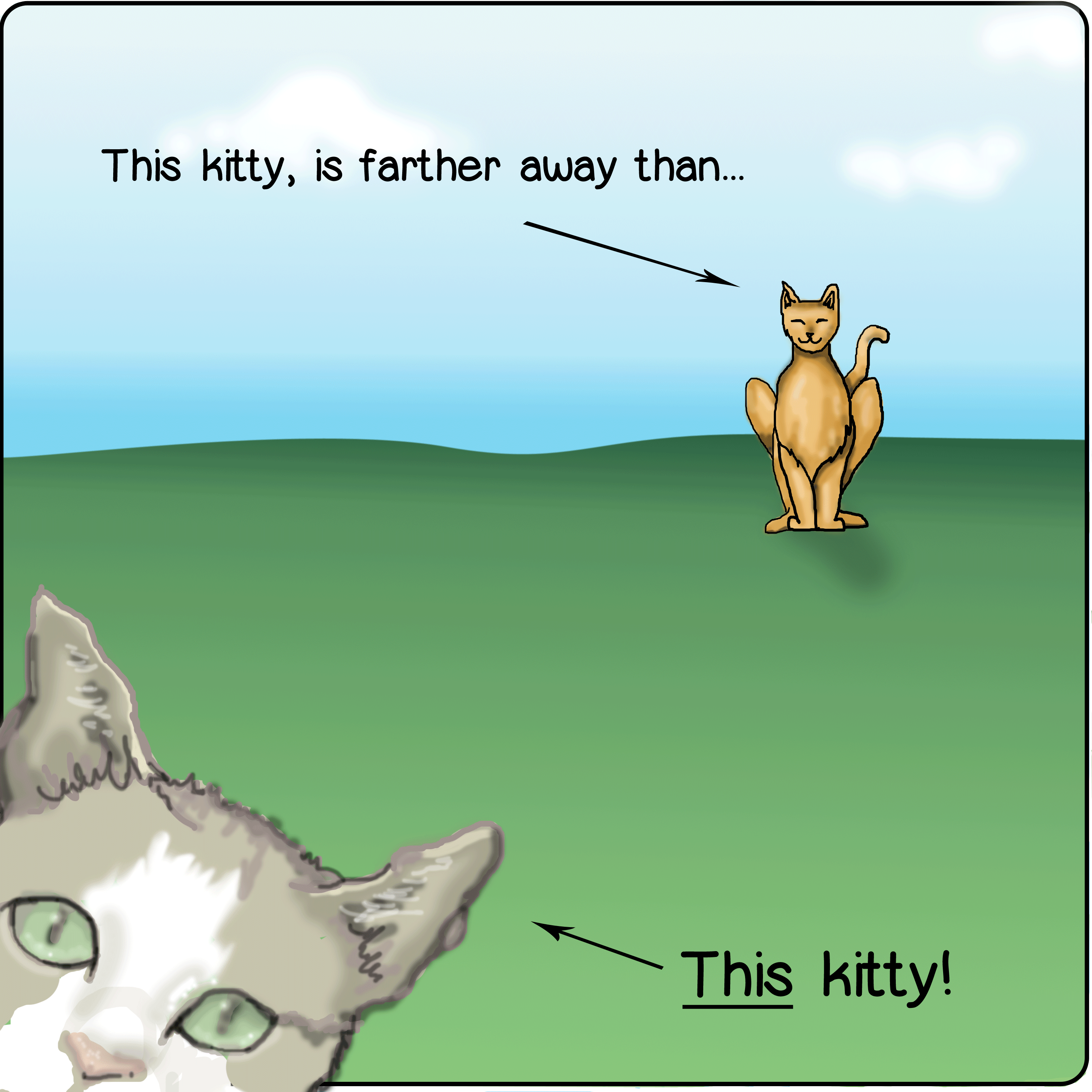 This kitty.