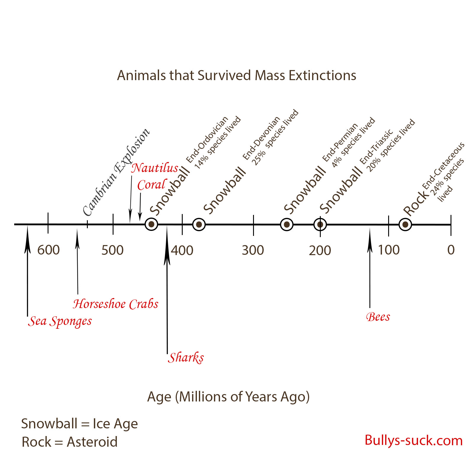 Animals that survived mass extinctions