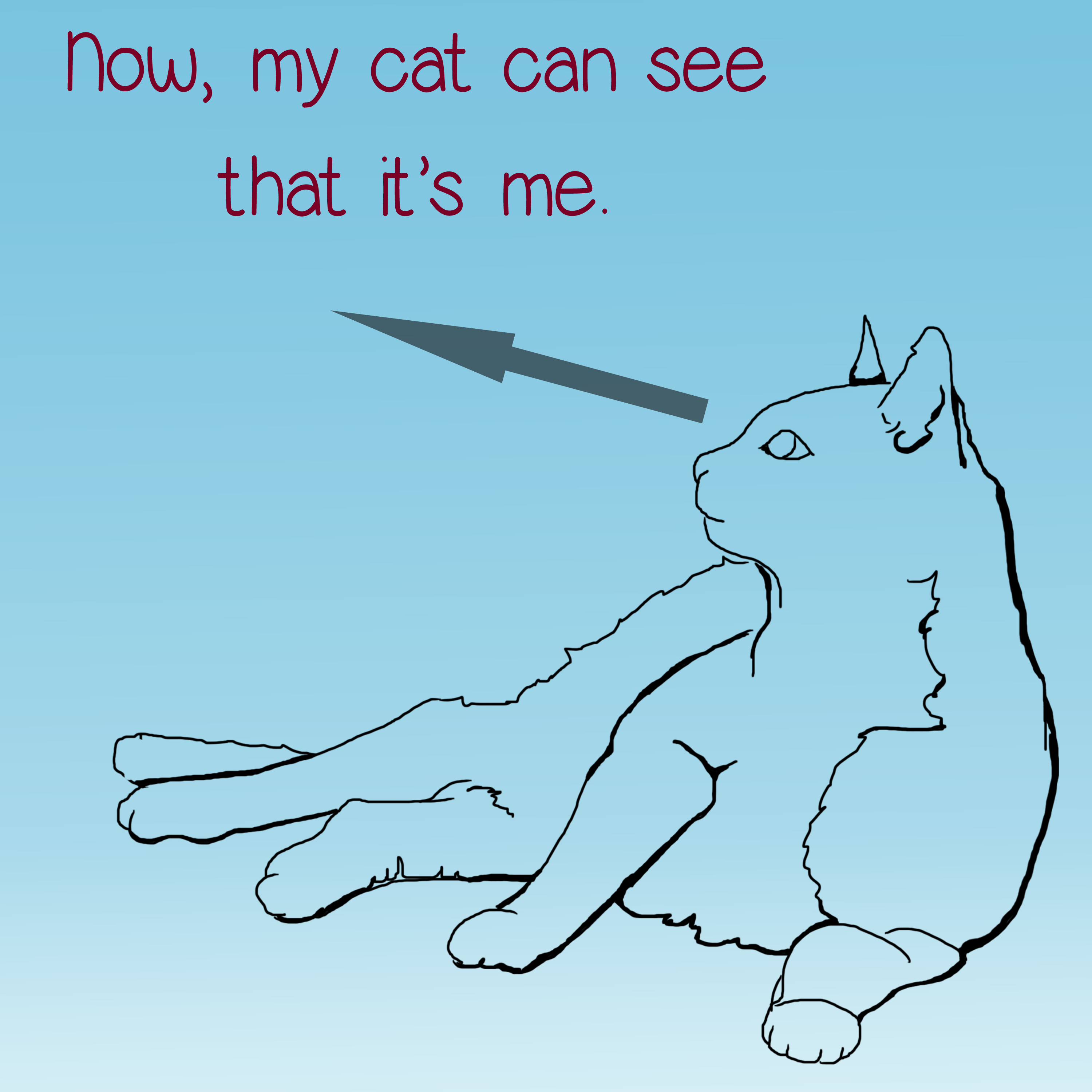Now, my cat can see that it's me.
